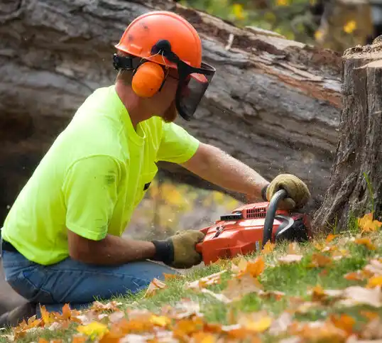 tree services Joplin